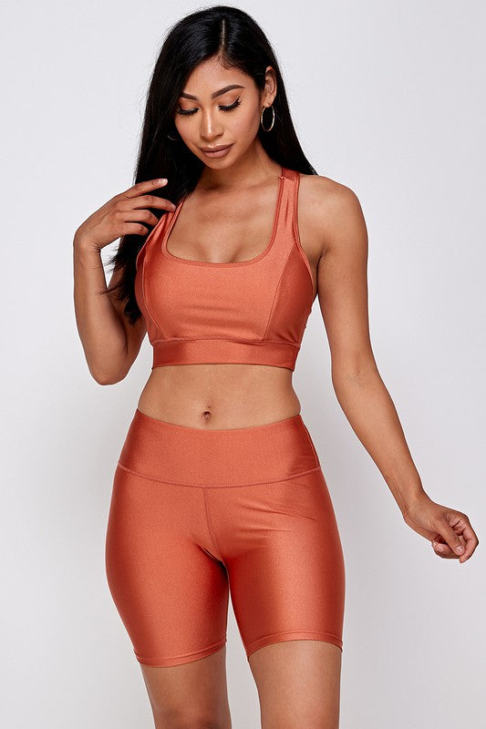 SHEEN FINISH SPORTS BRA and BIKER SHORT SET