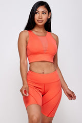 SHEER MESH PANEL SPORTS BRA AND BIKER SHORT SET