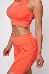 SHEER MESH PANEL SPORTS BRA AND BIKER SHORT SET